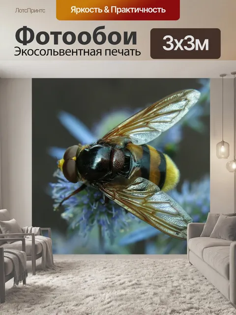 Фотообои Летать в воздухе