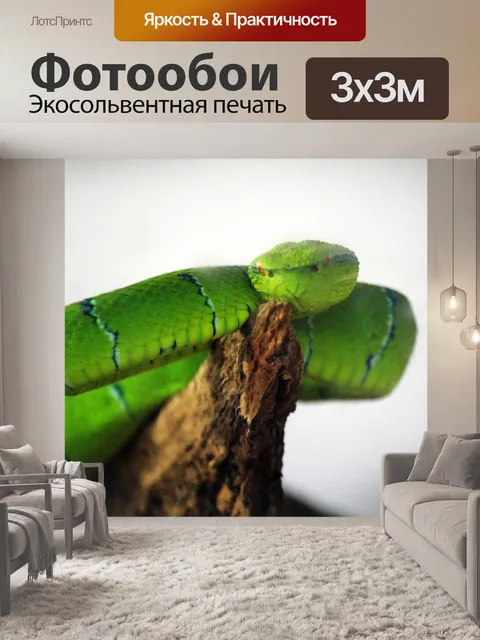 Фотообои Змея
