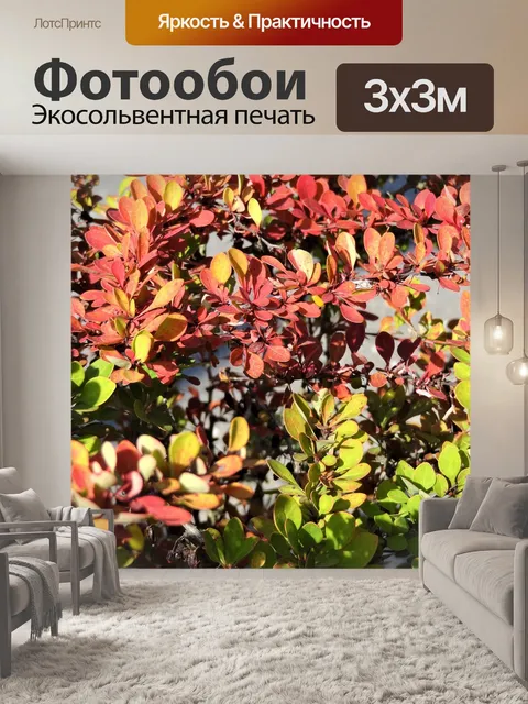 Фотообои Красота природы
