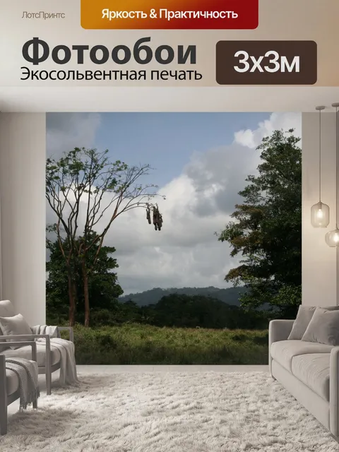 Фотообои Коста-Рика Птичье гнездо