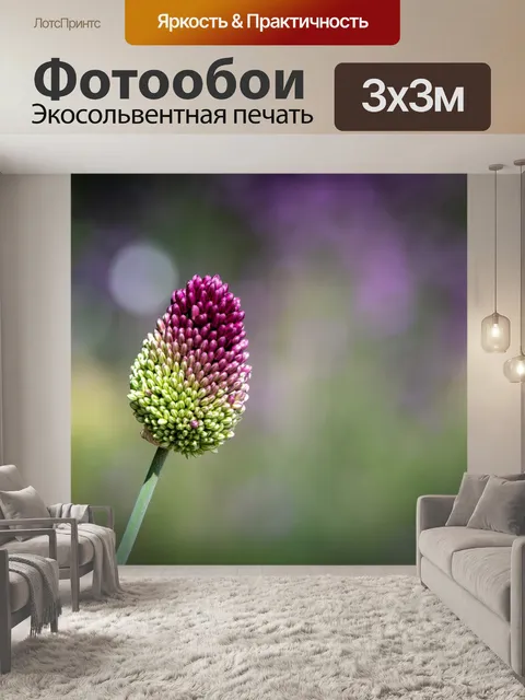 Фотообои Цветочная пуля чеснока