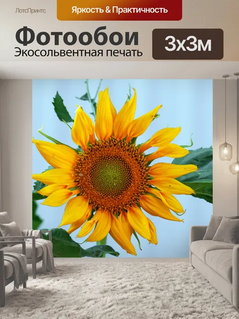 Фотообои Подсолнечник желтый цветок