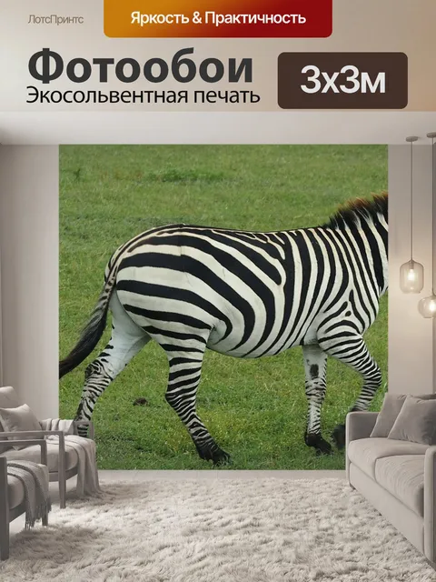 Фотообои Зебра