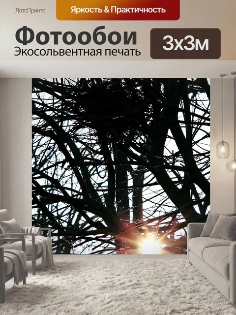 Фотообои Солнце