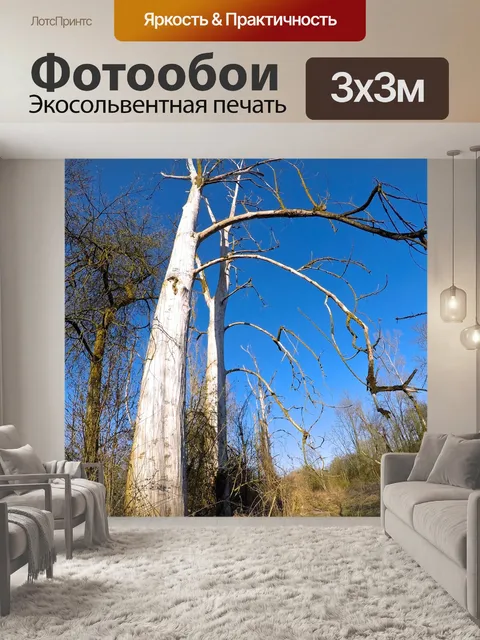 Фотообои Дерево