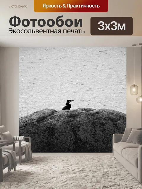 Фотообои Баклан на скалах