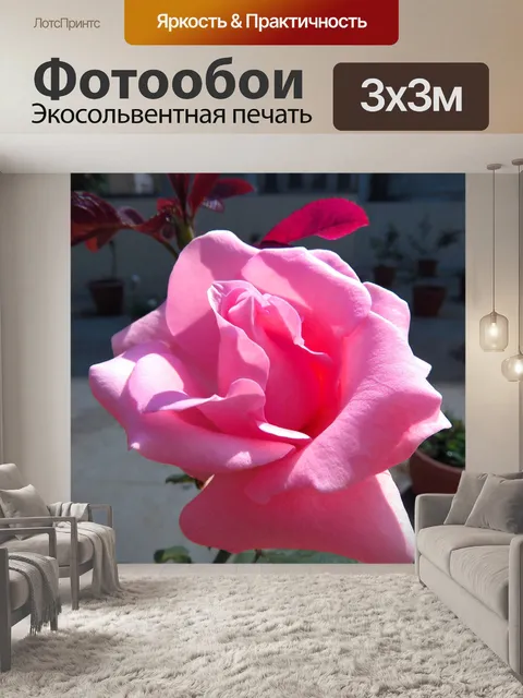 Фотообои Солнечных лучей на розовый