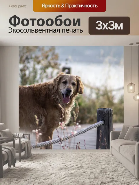 Фотообои Собака