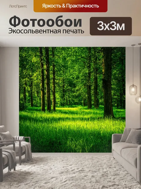 Фотообои лес с сочные зелёные травы и глубокие тенями от деревьев