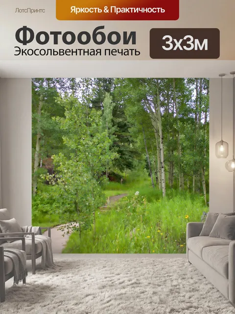 Фотообои Дорожка