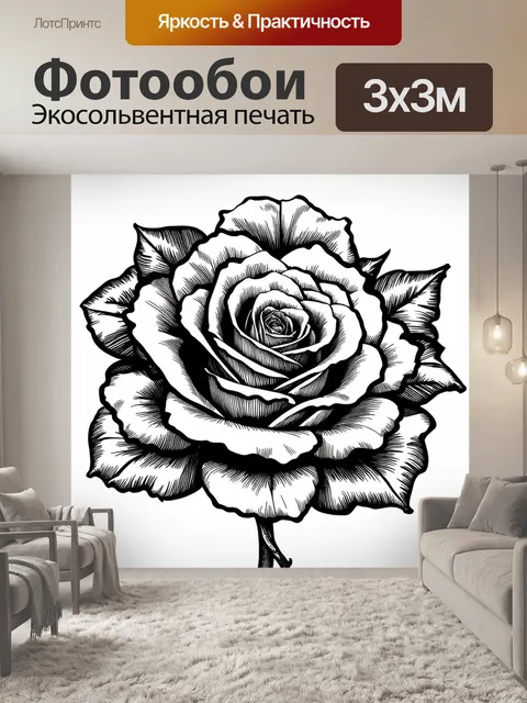 Фотообои розы в стиле аналитический рисунок, отчетливые контуры и линии для четкости формы