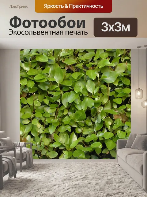 Фотообои Сад Хедж листья фон