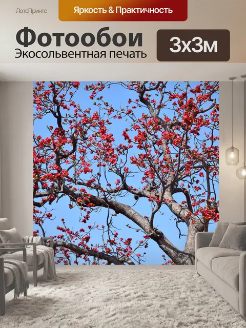 Фотообои Хлопок Шелк Дерево 1