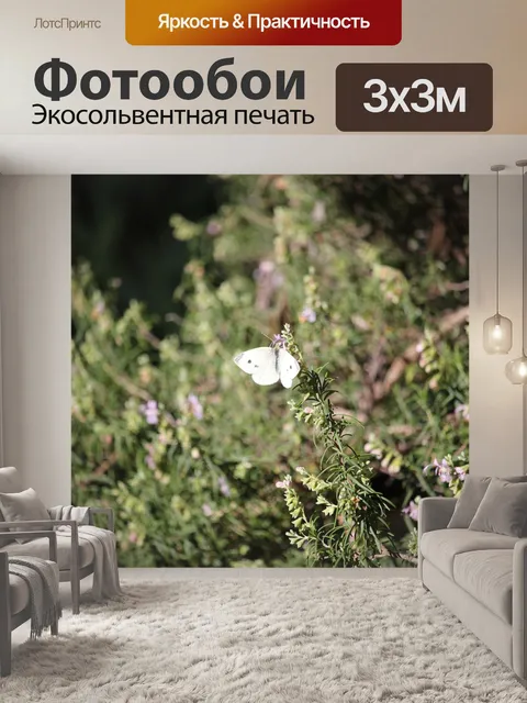 Фотообои Бабочка