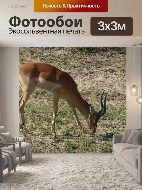 Фотообои Южная африка