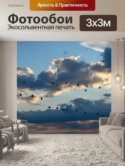 Фотообои Цапли летают над рекой