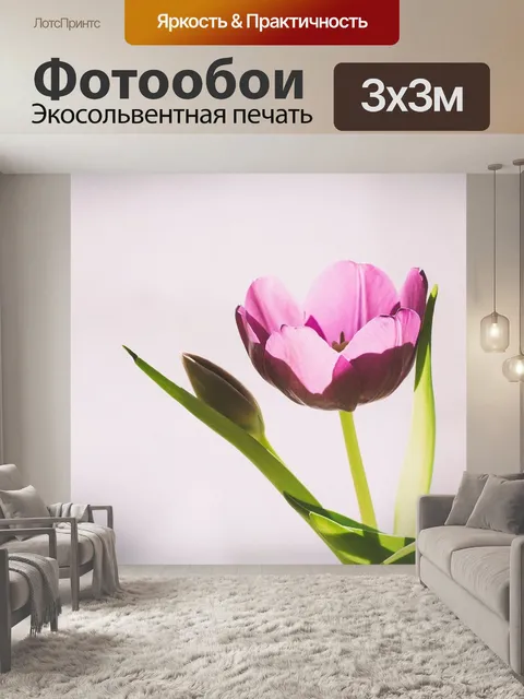 Фотообои Тюльпан