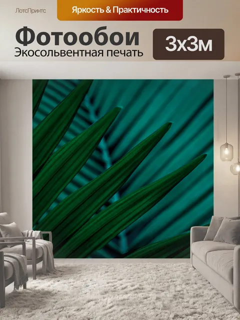 Фотообои Темный лист пальмы