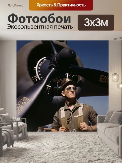 Фотообои Пилот