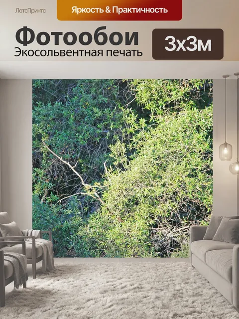 Фотообои различные цвета зеленый в кисти