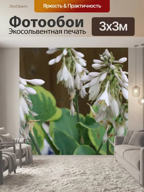 Фотообои белые цветы
