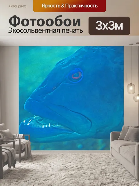 Фотообои мраморный леопардовый окунь в аквариуме