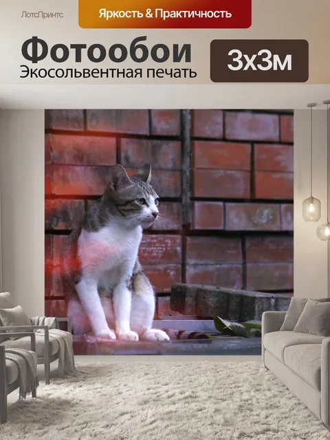Фотообои Кошка