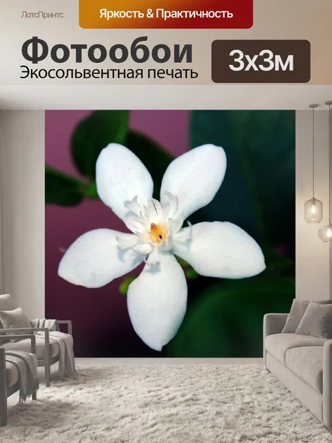 Фотообои Белые цветы 03