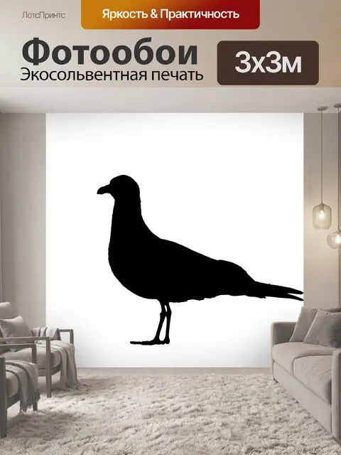 Фотообои Силуэт Чайки