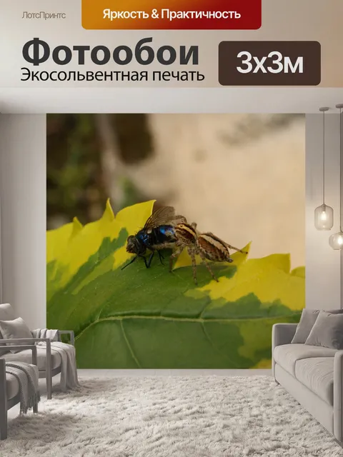 Фотообои Картинки
