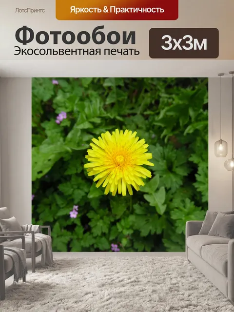 Фотообои Простой Желтый одуванчик