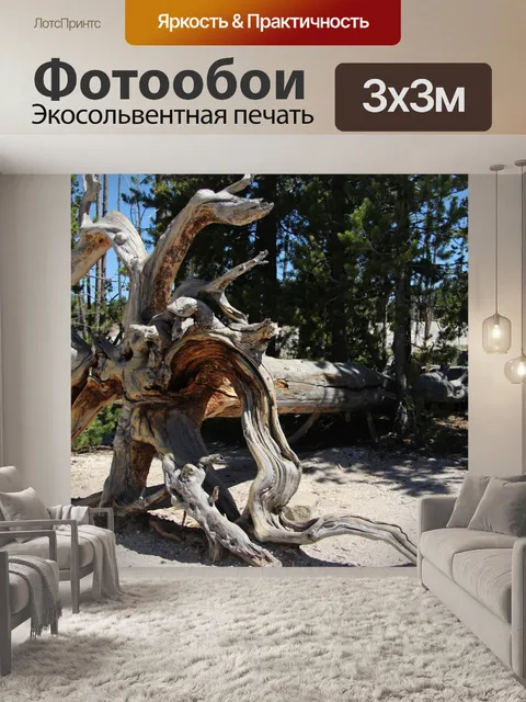 Фотообои Высушенный корень дерева