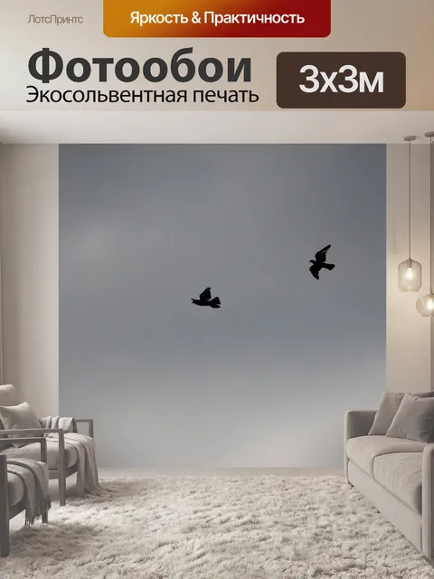 Фотообои Голубь