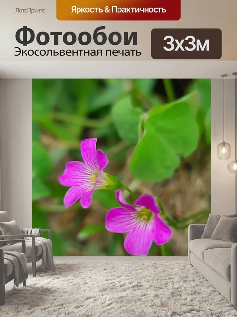 Фотообои Планета