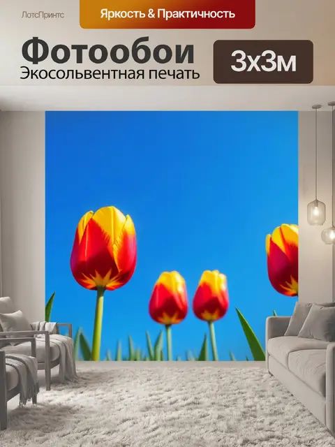 Фотообои тюльпаны с ярким голубым небом