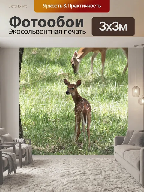 Фотообои Пятнистый олень и лань в траве