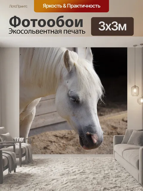 Фотообои Лошадь