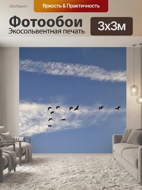 Фотообои Great Цапли Летающие