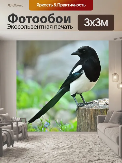 Фотообои Сорока