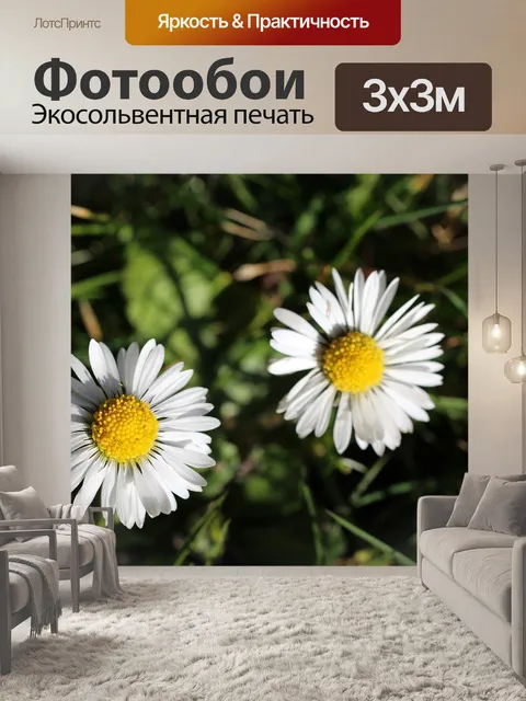Фотообои Два