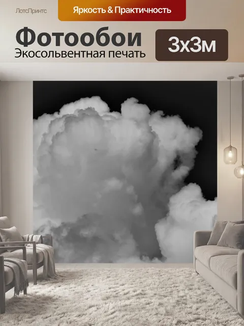 Фотообои Облако и небо в черный и белый