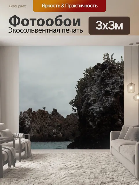 Фотообои Кактусы, растущие на горных пород