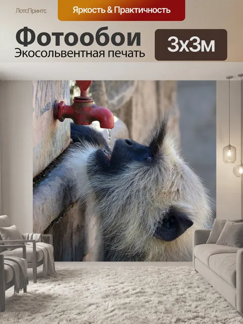 Фотообои Жаждущий