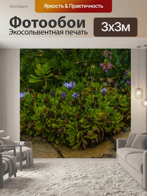 Фотообои Цветы и суккуленты