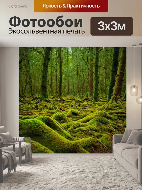 Фотообои лес с густым мхом, укрывающим землю и деревья