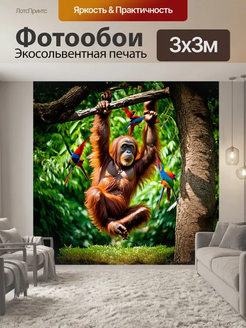 Фотообои орангутанг, свисающий с ветки дерева, рассматривает изумрудное окружение зоопарка чианг-май, где нарядные…
