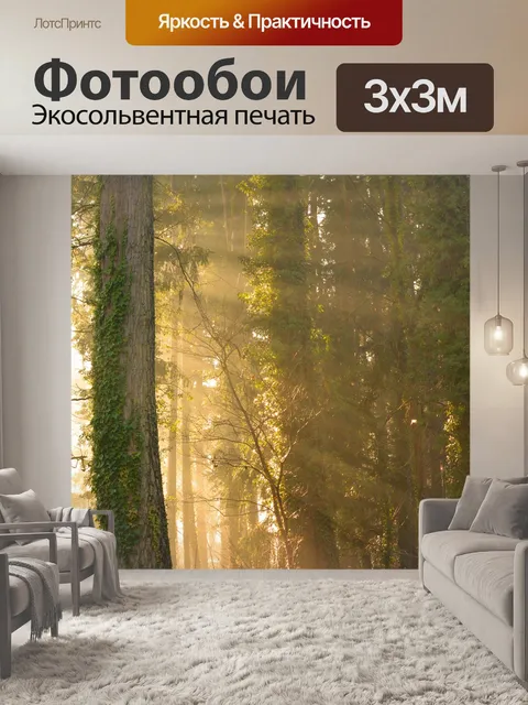 Фотообои Солнце