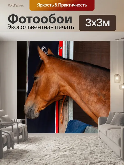 Фотообои Конный спорт