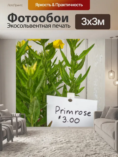 Фотообои Желтая примула на продажу