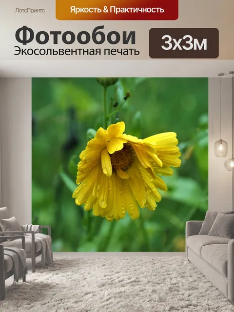 Фотообои Дождь